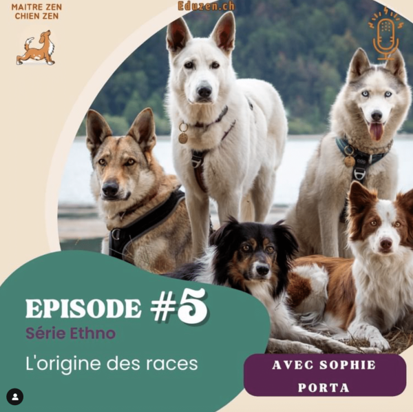Origine des races de chien Histoire et évolution — free download
