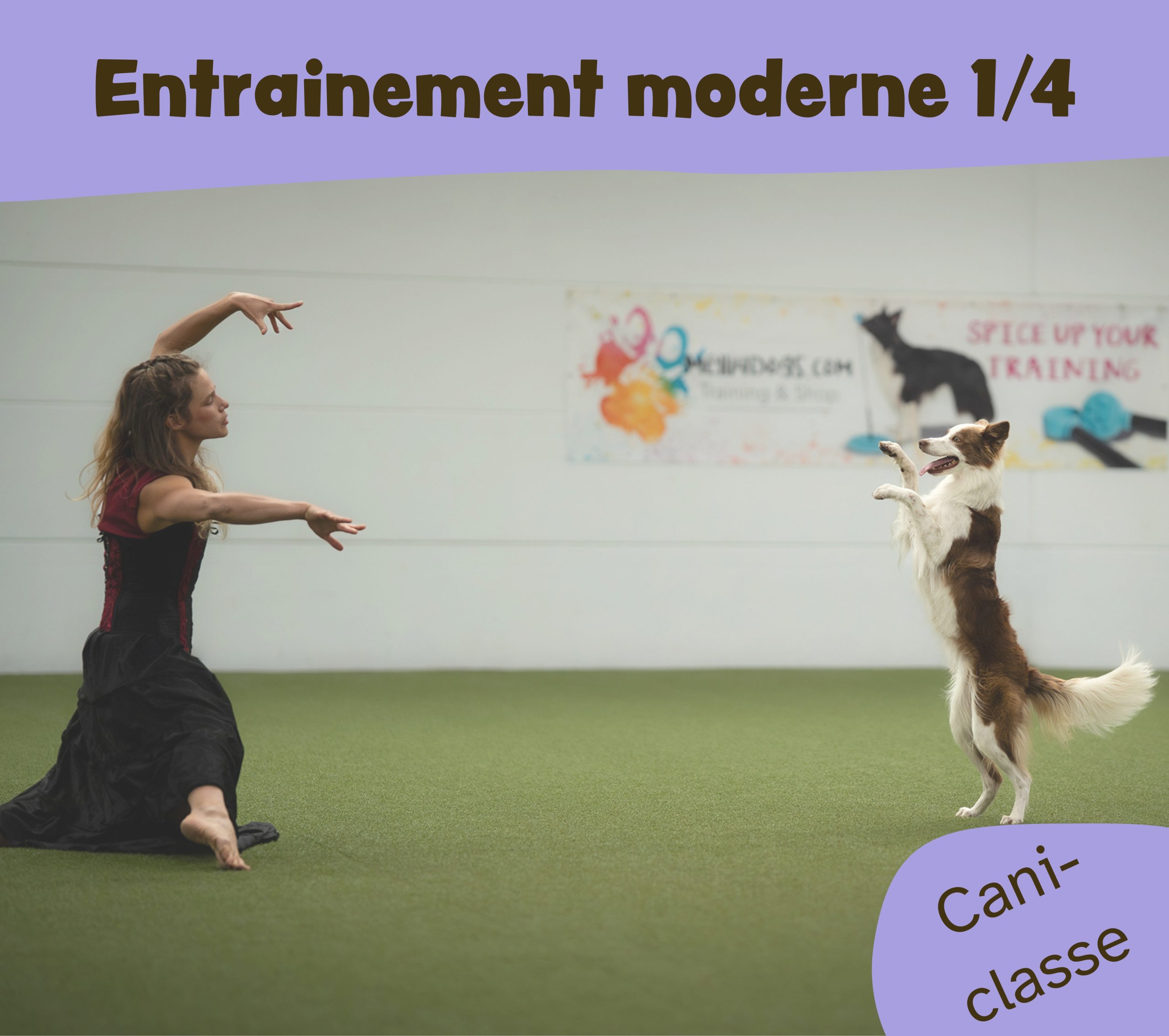 Apprentissage canin moderne : Loopy & Clean | myEduzen
