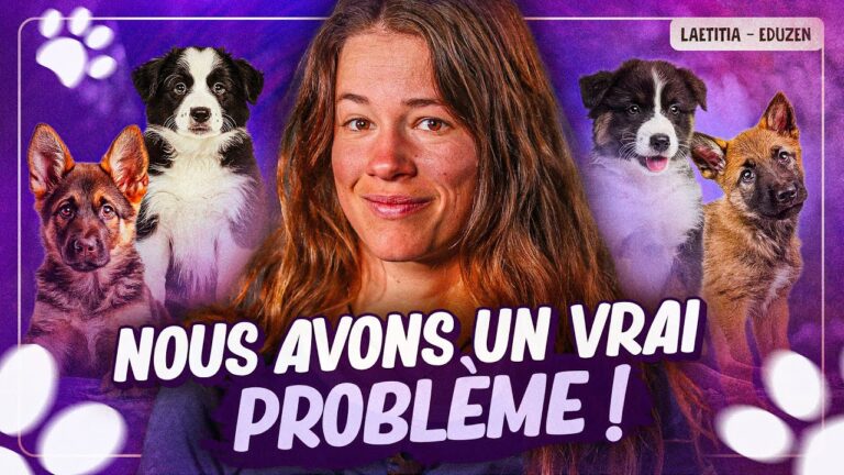 Le problème des races de chien à la mode