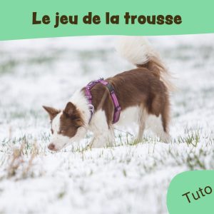 Le jeu de la trousse